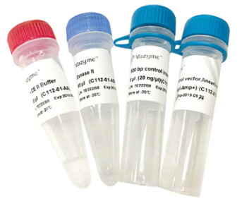 ClonExpress II One Step Cloning Kit - 50rxns - C112-02