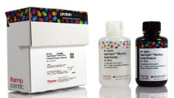 SuperSignal™ West Dura Extended Duration Substrate - 200mL - 34076