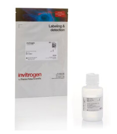 BlockAid™ Blocking Solution - 50mL - B10710