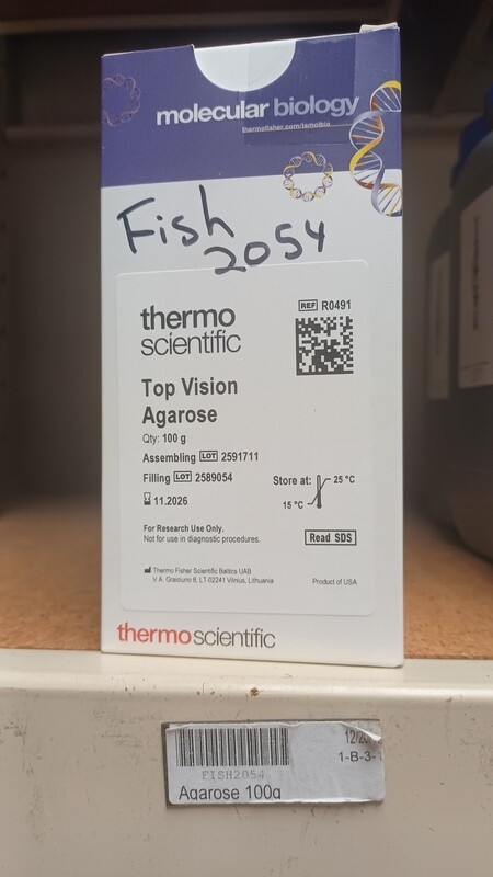 Agarose 100g (TopVision)