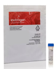 Qdot™ 605 Streptavidin Conjugate - 50uL - Q10103MP
