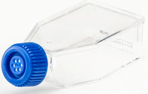 Fisherbrand™ Surface Treated Sterile Tissue Culture Flasks, Vented Cap - CS of 200 -  20/Bags - 10/Bag FB012935 CONS5425CASE