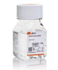 Sodium Pyruvate (100 mM) - 100ml - 11360070