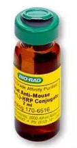 Goat Anti-Mouse IgG (H + L)-HRP Conjugate - 2ml - 1706516