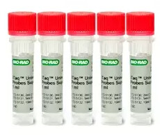 iTaq™ Universal Probes Supermix, 500 x 20 µl rxns, 5 ml (5 x 1 ml) -1725131