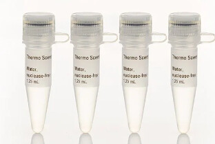 Thermo Scientific™ Water, nuclease-free - FERR0581