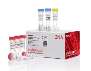Zero Blunt™ TOPO™ PCR Cloning Kit, without competent cells - 25 reactions - 450245