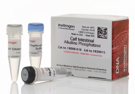 CIAP (Calf Intestinal Alkaline Phosphatase),1,000 units -  20 U/µL- 18009019