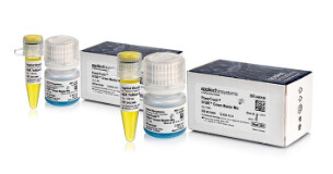 PowerTrack™ SYBR Green Master Mix - 2x5mL - A46110