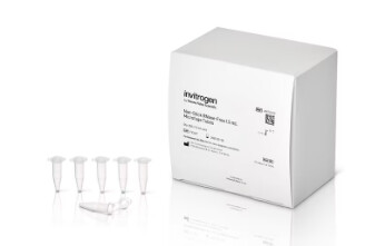 RNase-free Microfuge Tubes - 500 tubes, 1.5mL - AM12400