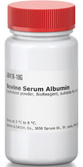 Bovine Serum Albumin - A9418-10G