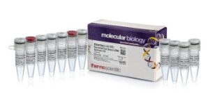RevertAid First Strand cDNA Synthesis Kit - 20 reactions - K1621