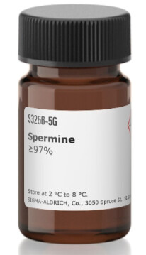 Spermine - S3256-1G