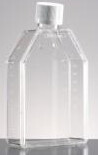 Tissue Culture Flask (T-Flask) 75cm^2 (250ml) each - white plug, non-tissue culture - BD353133
