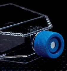 FisherBrand Tissue Culture Flask (T-Flask) 75cm^2 (250ml) - cs of 100 - Blue cap vented, tissue culture - CONS5427B - FB012937