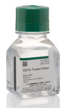 DEPC-Treated Water - 100mL - AM9915G