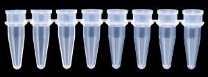 Strips of 8 tubes and caps - 0.2ml PCR Tube STRIP - CONS5063 - 12000-206 - Pack of 125