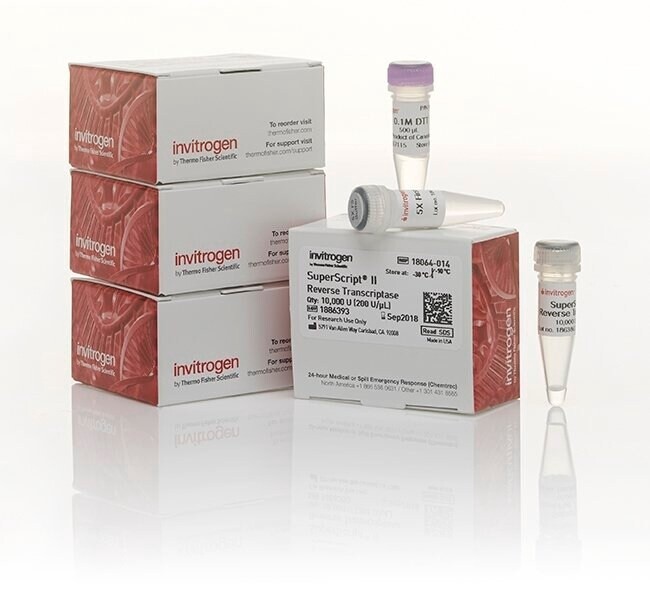 Invitrogen™ SuperScript™ II Reverse Transcriptase - 10,000 units - 50 reactions -