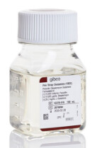 Penicillin-Streptomycin-Glutamine (100X) - 100mL - 10378016