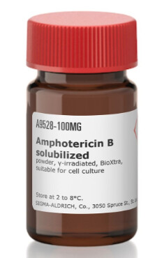 Amphotericin B solubilized - A9528-100MG
