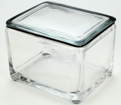 Glass Staining Dish - 20 slide staining dish and lid only - 100493-304