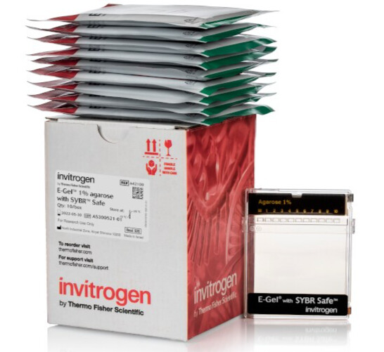 E-Gel™ Agarose Gels with SYBR™ Safe DNA Gel Stain, 1% - 10 gels - A42100