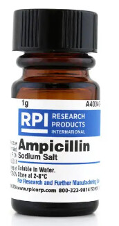 Ampicillin Sodium Salt 1g -CHEM1373 - A40040-1