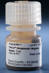Pierce Streptavidin Magnetic Beads