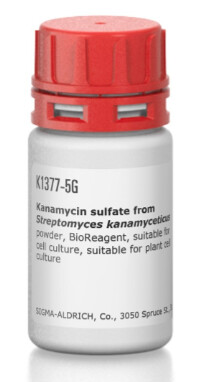 Kanamycin Sulfate 5g - K1377-5G