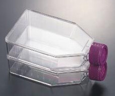 VWR® Tissue Culture Flask, Non-Treated, Sterilized, Non-Pyrogenic - Plug Seal Cap - 850ml - CS of 18 - 10861-582
