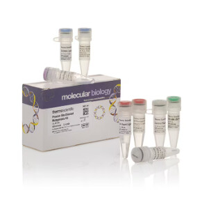 Phusion Site-Directed Mutagenesis Kit - 20 reactions -  F541