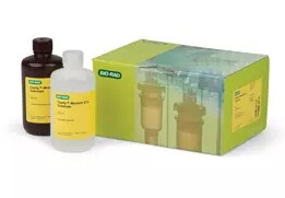 Clarity Western ECL Substrate, 500 ml- 1705061
