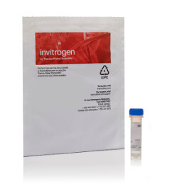 CellMask™ Plasma Membrane Stains - 100uL - Green - C37608