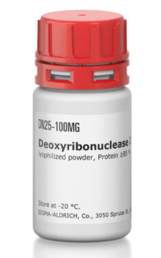 Deoxyribonuclease I from bovine pancreas - 9003-98-9 - DN25-100MG