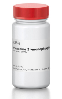 Adenosine 5′-monophosphate sodium salt - A1752-5G