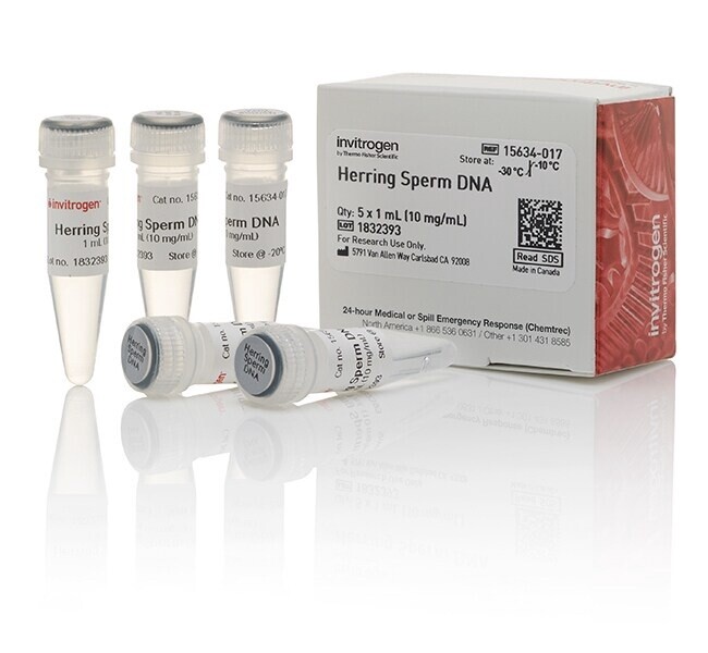 15634017  Invitrogen™ UltraPure™ Herring Sperm DNA Solution Catalog number: 15634017