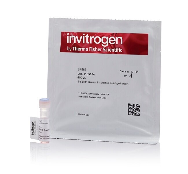 S7563 SYBR™ Green I Nucleic Acid Gel Stain - 10,000X concentrate in DMSO 500ul
