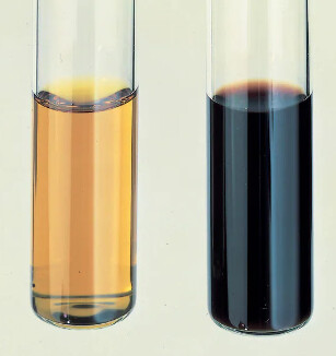 BD BBL™ Middlebrook OADC Enrichment - 500mL - B12351