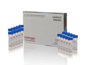 CellTracker™ Deep Red Dye - 20 x 15ug - C34565