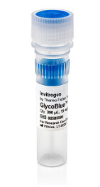 GlycoBlue™ Coprecipitant (15 mg/mL) - 300uL - AM9515
