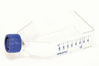 EasYFlask™ Cell Culture Flasks, Sterile, Filter - 25mL - 75cm^2 - 5 per pk - CS of 100 - 12-565-349