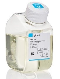 Gibco™ DMEM, high glucose, no glutamine, no phenol red - 500mL - 31-053-028