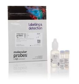 LIVE/DEAD™ BacLight™ Bacterial Viability Kit, for microscopy &amp; quantitative assays - 1 kit - L7012