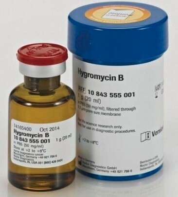 Hygromycin B - 20mL - 10843555001