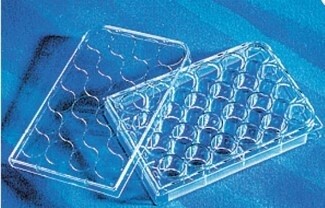 Corning™ Costar™ Clear Multiple Well Plates - 24 wells - Non-Treated - 5/PK - CS of 100 - 07-201-590