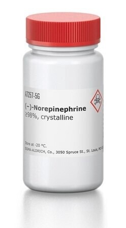 (−)-Norepinephrine - 500MG A7257
