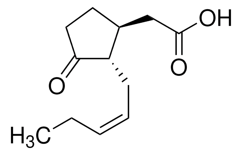 (±)-Jasmonic acid - 100mg - J2500-100MG