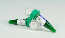Go Taq Green Master Mix 100 rx