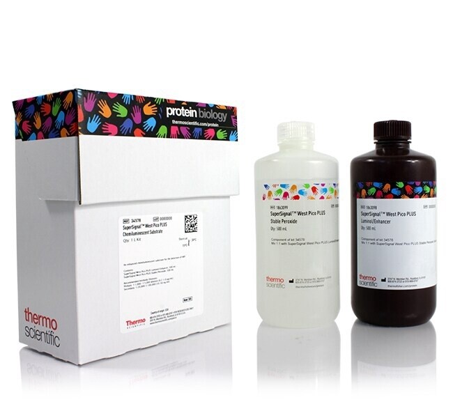 Thermo Scientific™ SuperSignal™ West Pico PLUS Chemiluminescent Substrate Catalog number: 34578 Size 1L