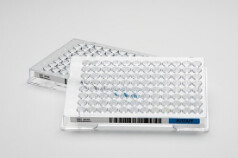 Sensititre™ NARMS Gram Negative CMV4AGNF AST Plate - 10 plates/box - CMV4AGNF